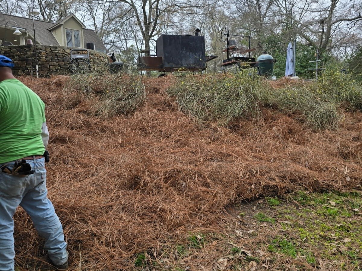Romero Landscaping